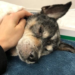 Meet your Posher, Nichelle